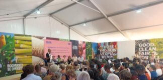 Tucumán presenta sus vinos en Terra Madre y refuerza su conexión con el movimiento Slow Wine.