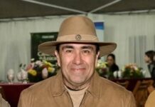 Perspectivas sobre los festivales: gasto versus inversión