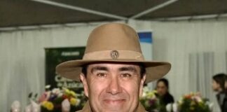Perspectivas sobre los festivales: gasto versus inversión