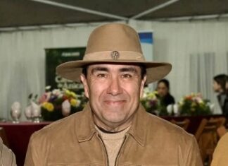 Perspectivas sobre los festivales: gasto versus inversión